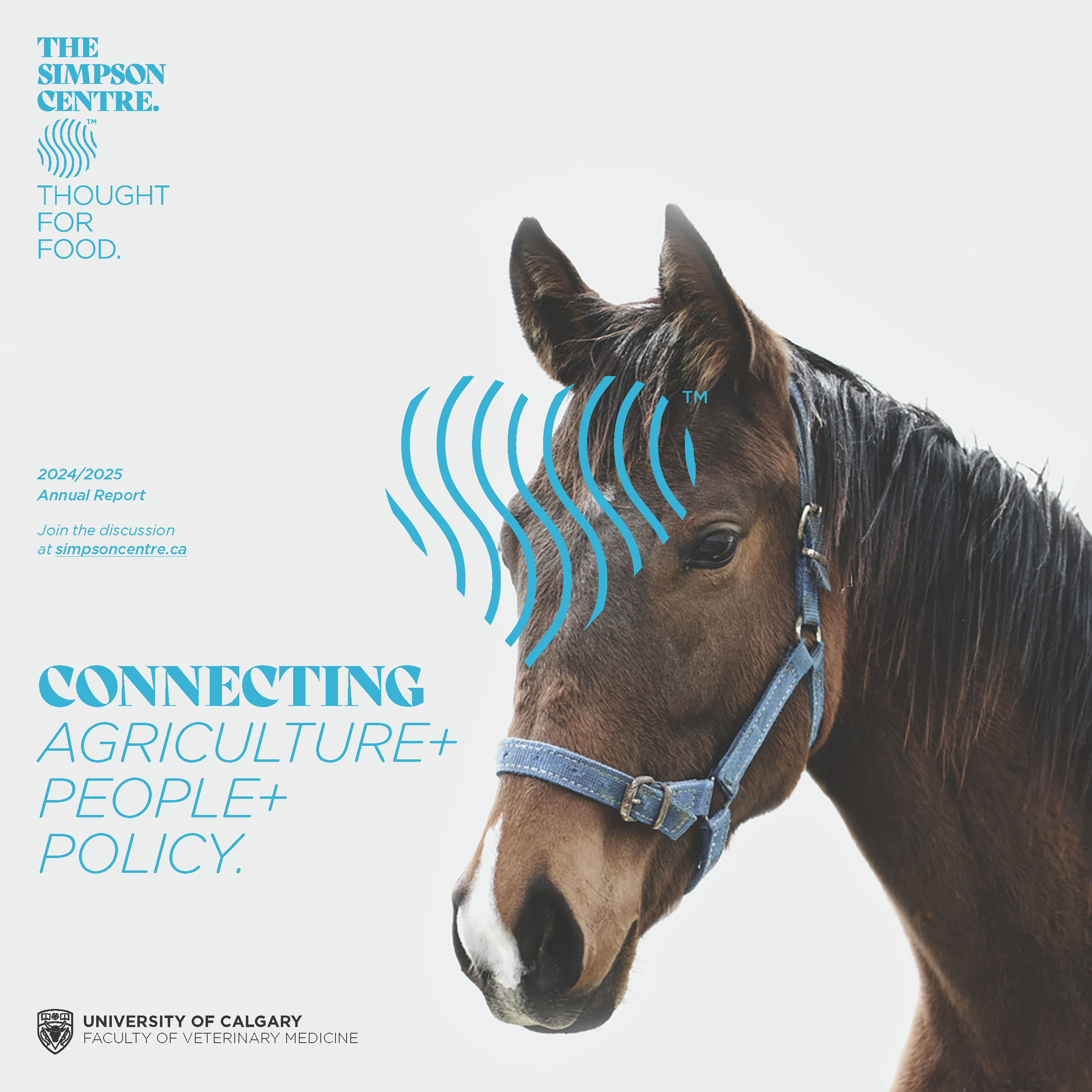 SC Annual Report 2025_ Final_Page_01.png